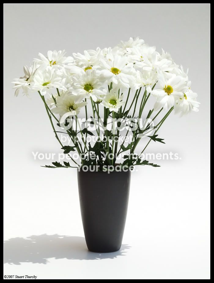 flowers.jpg