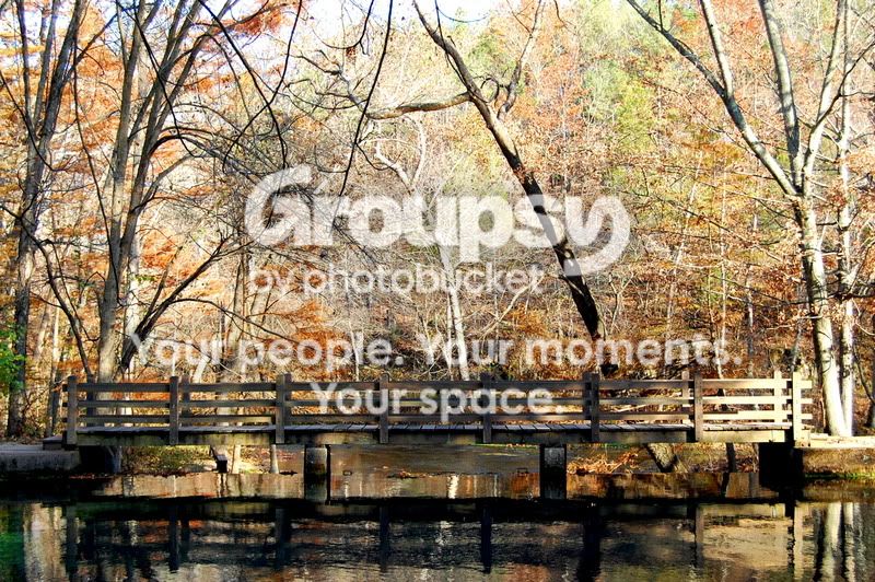 fade7a46.jpg