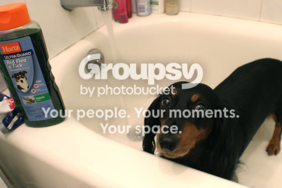 wash.jpg