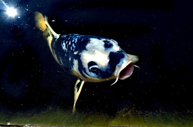 _DSF5603-L.jpg