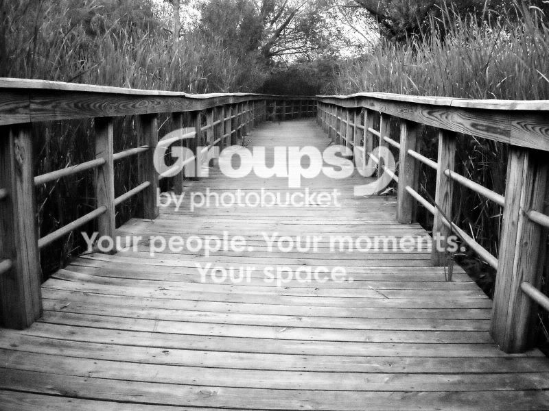 OxbowParkWalkway.jpg