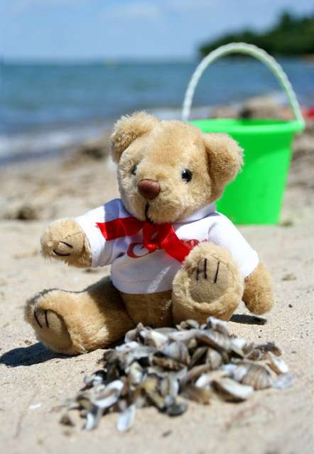 beach1uk4.jpg