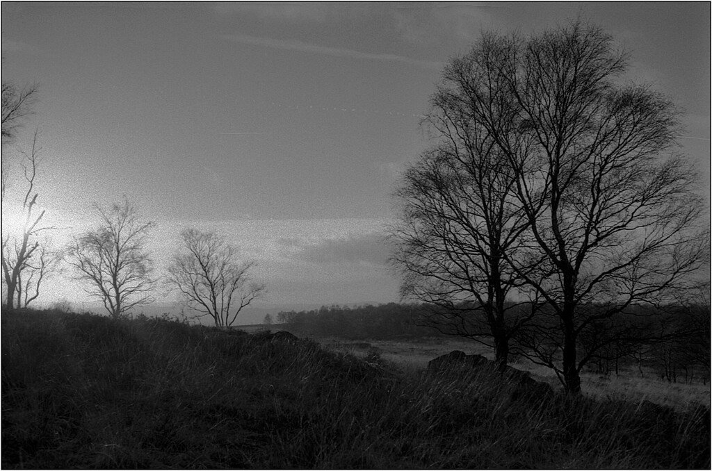034-XL.jpg