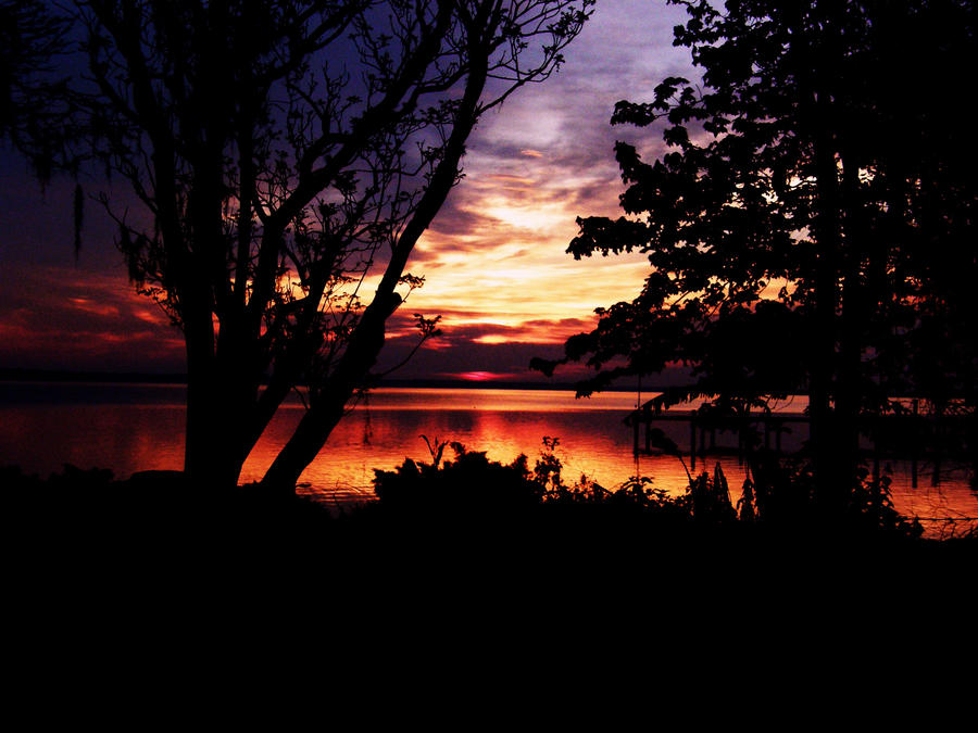 One_Early_Morning_by_OB_LL426.jpg