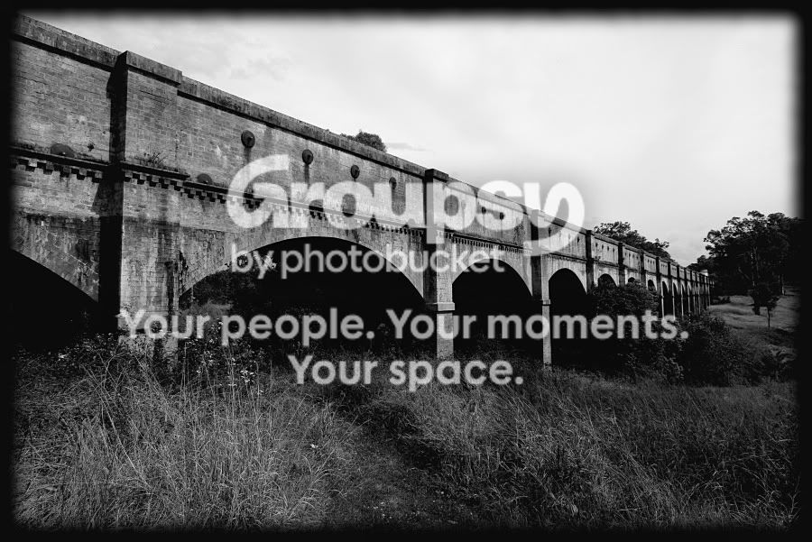 SG205233BW.jpg