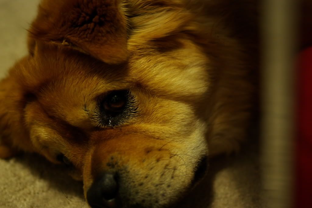 IMGP0173.jpg