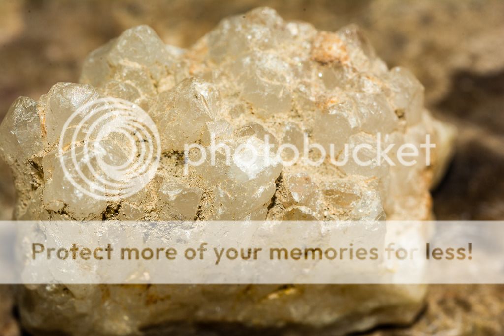 _D714760_zpsx356tk64.jpg