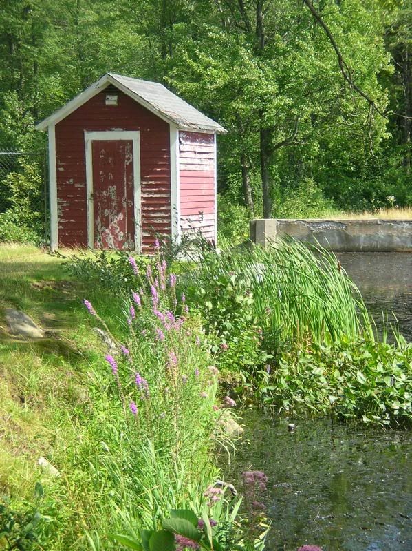 DSCN5528.jpg