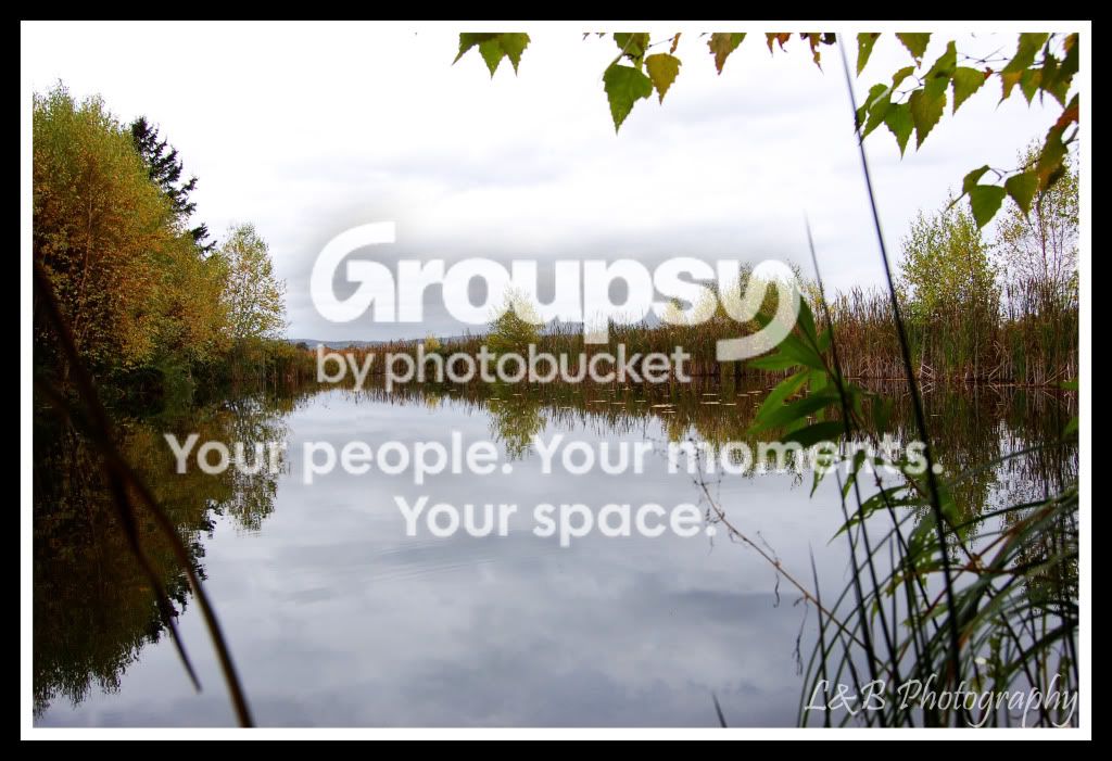 pond2.jpg