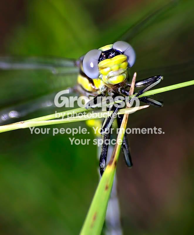 _6014849_filteredcopy.jpg