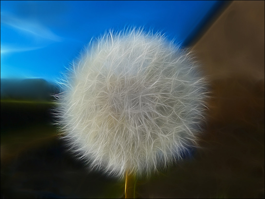 6883047879_e361aae023_b.jpg
