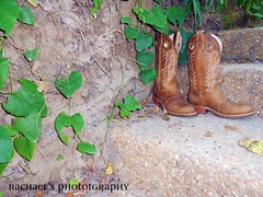 5980121843_a0926d9a5c_m.jpg