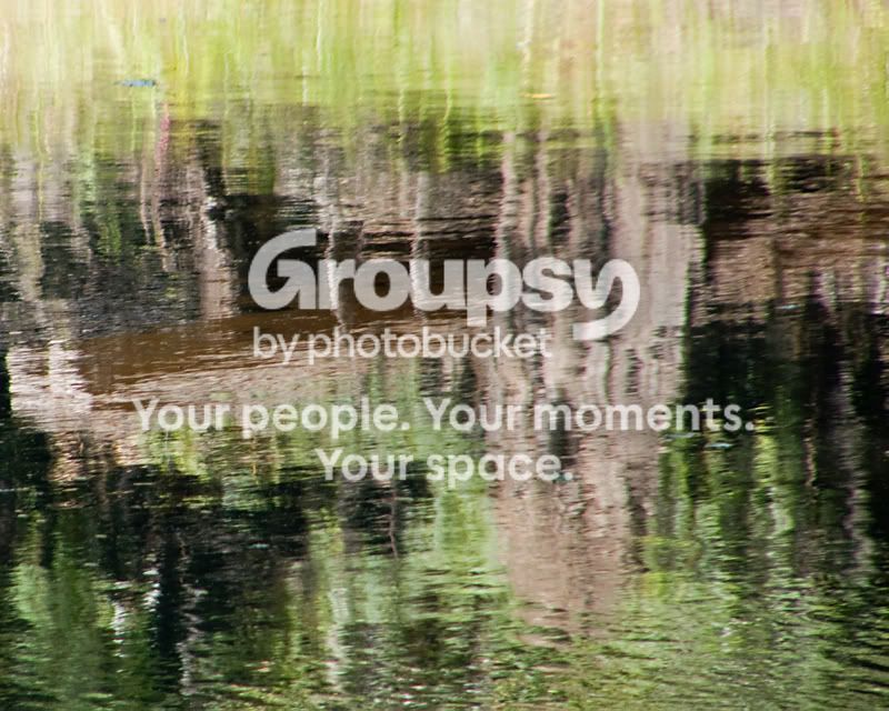 reflections3.jpg