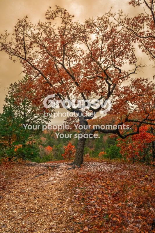 2009-10-22_33NXorange-1.jpg