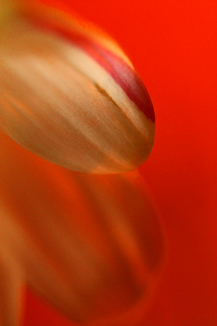 6623980167_f8b572783f_z.jpg