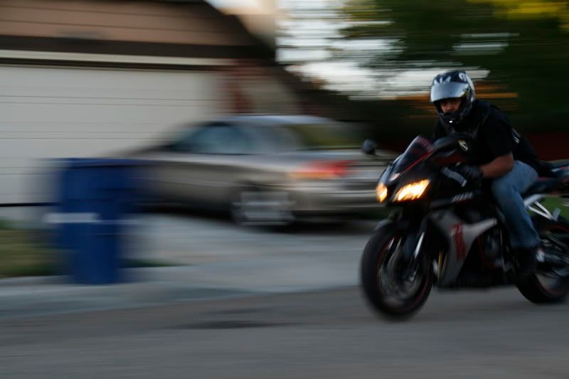 elibike005-1.jpg