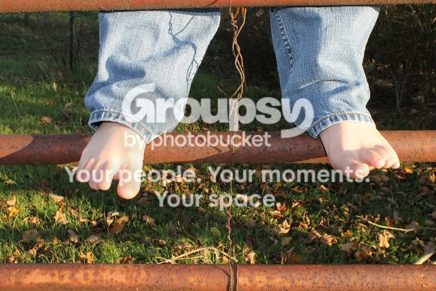 fall4.jpg