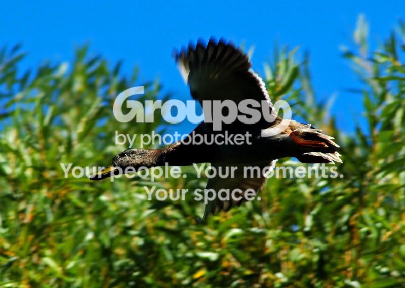 websize002DSC_8513edit.jpg