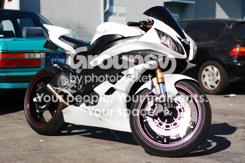 DSC_8228.png