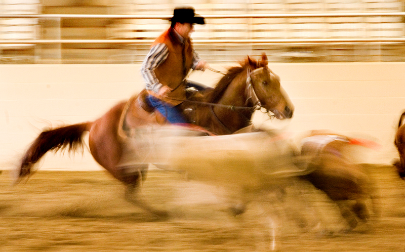 Penning%20-%206-L.jpg