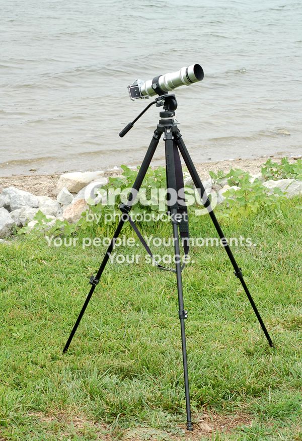 MeyerOptik40001.jpg