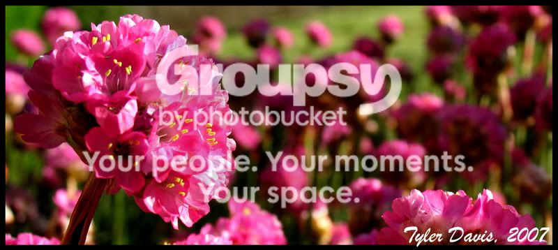 flower3.jpg