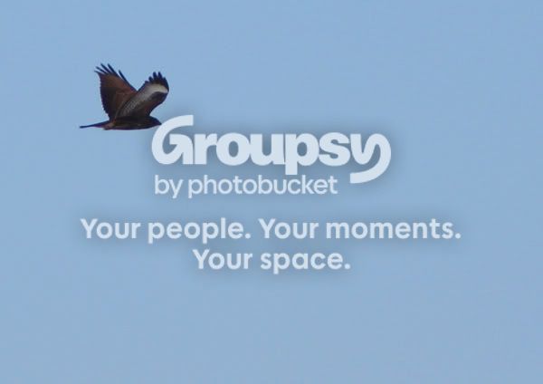 Bussard04a.jpg
