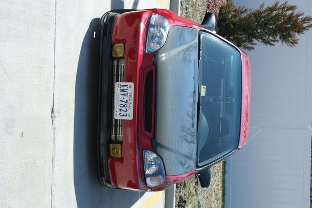 IMG_9787.jpg