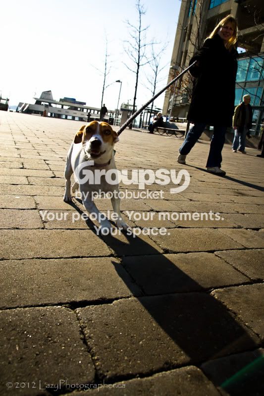 HarbrFrnt2012-103-EDITED.jpg