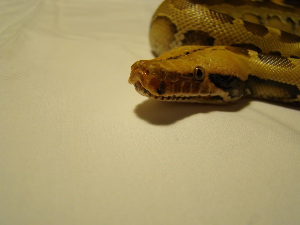 DSC01617.jpg