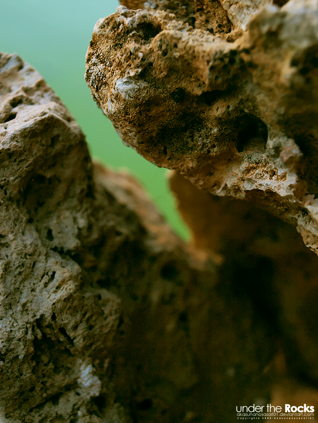 Under_the_rocks_by_Akasunanosasori01.jpg