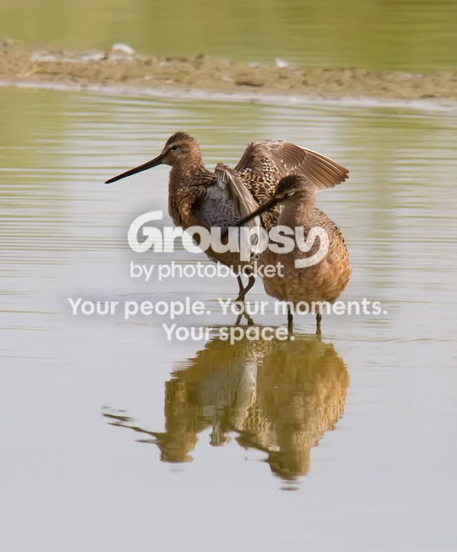 IMG_4932-1Edit.jpg