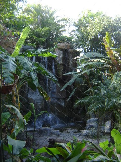 DSC03684.jpg