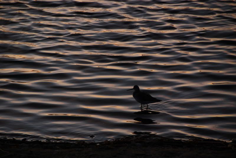 DSC_1399.jpg