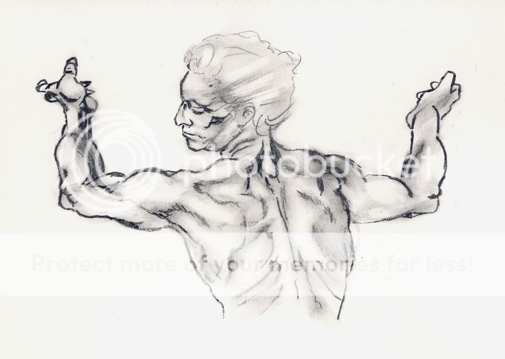 body1.jpg