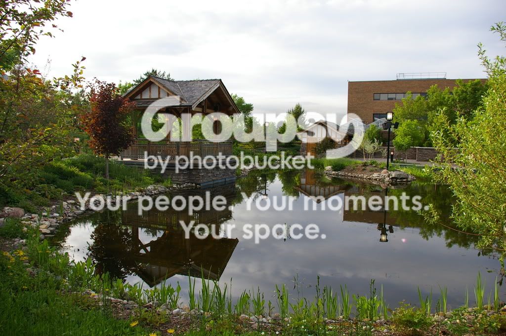 Picture659.jpg