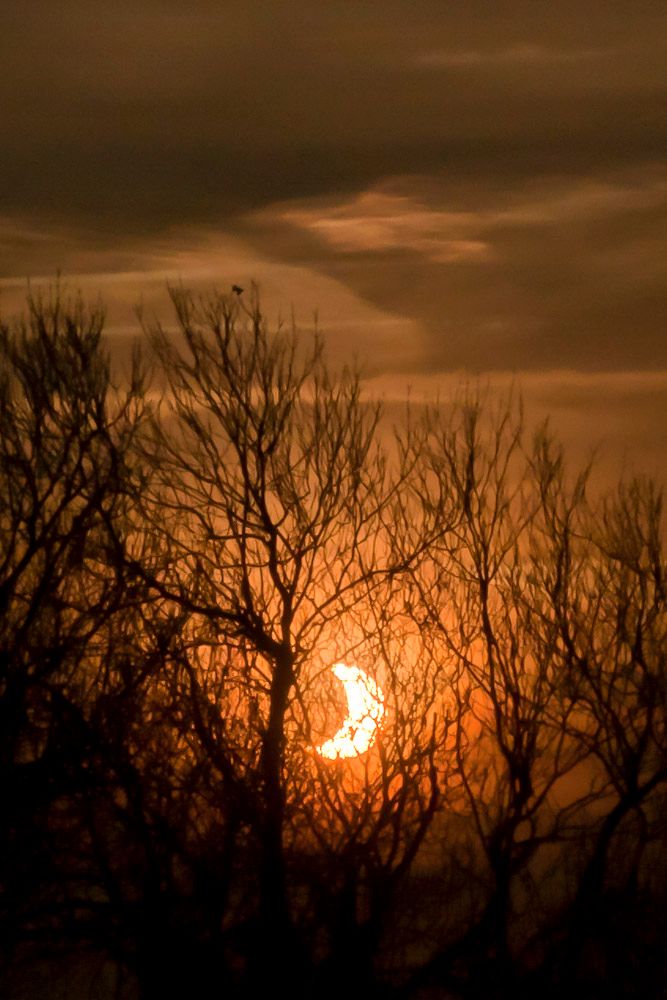 eclypse-4.jpg