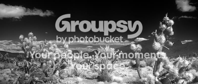 desert_infrared_pano_101.jpg