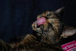 DSC_0075.jpg