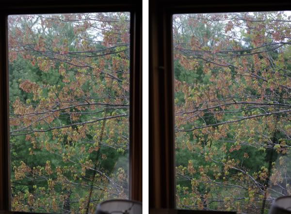 BedroomWindow2sm.jpg