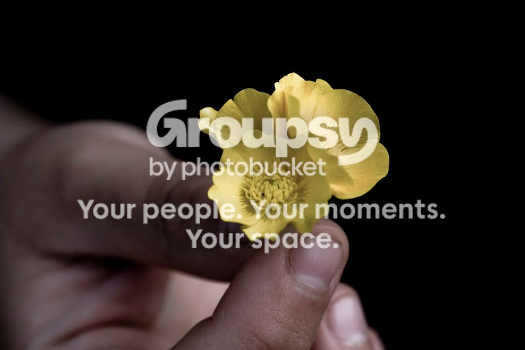 flowerhand.jpg