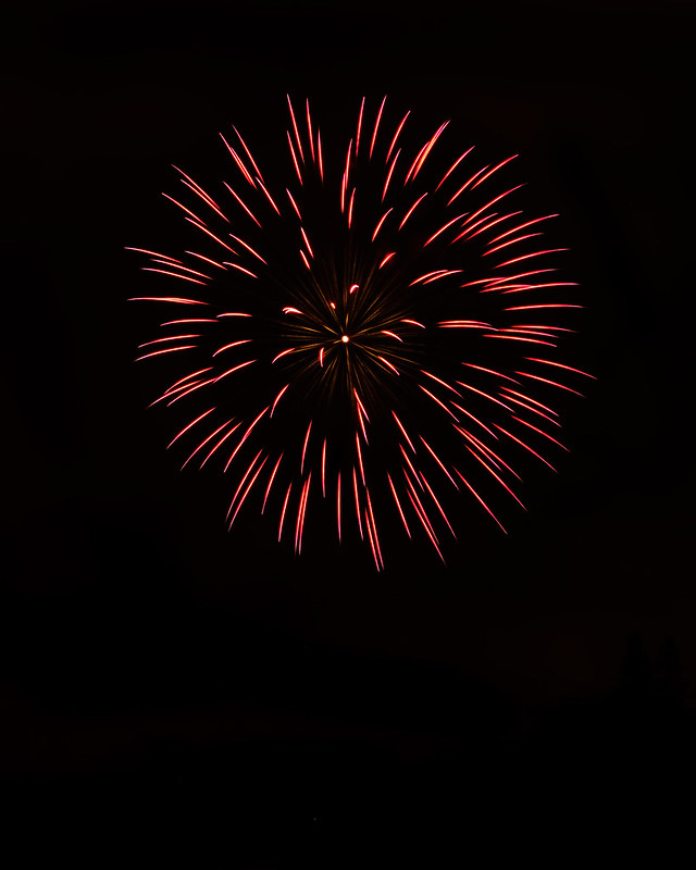7506473436_f449ccc0f8_c.jpg