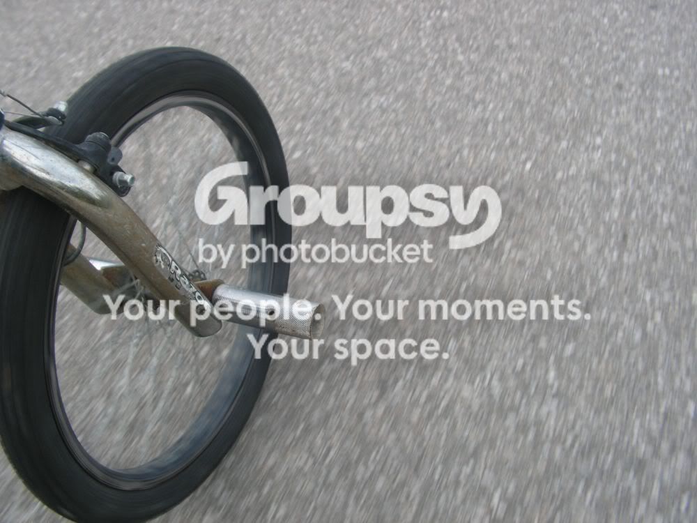 PICT6424.jpg
