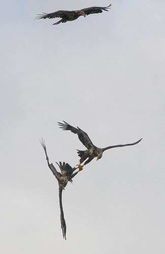 6284929824_0167329318.jpg