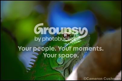 myspace95.jpg
