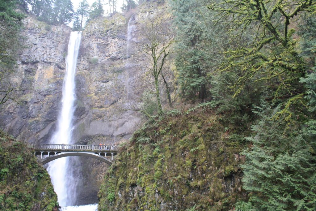 IMG_2658.jpg