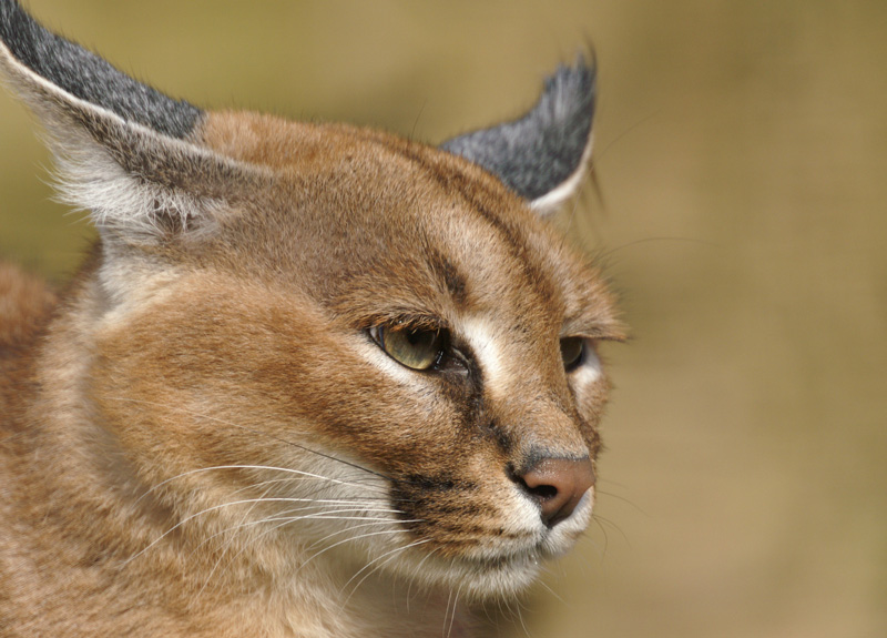 zoo05.jpg