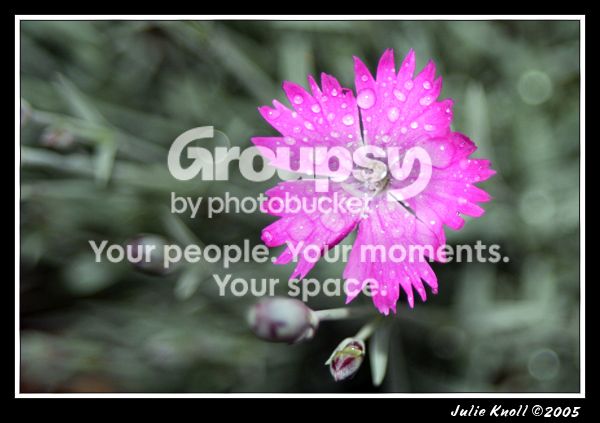IMG_7366.jpg