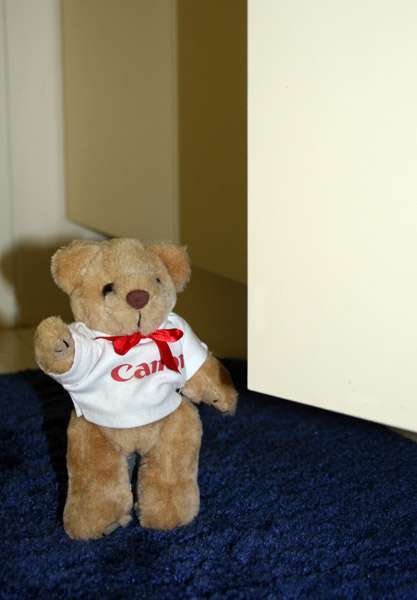 img0953psrskt8.jpg