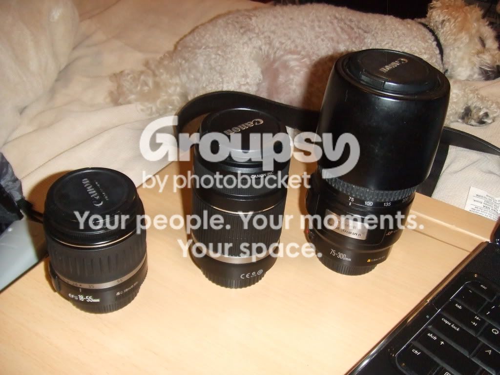 DSCF1278.jpg